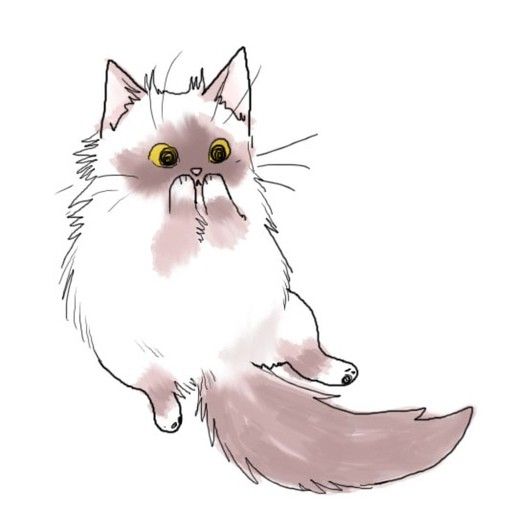 510x509 Line Graph Cats Drawing, Oil Painting, Colorpencil - Fluffy Cat Drawing