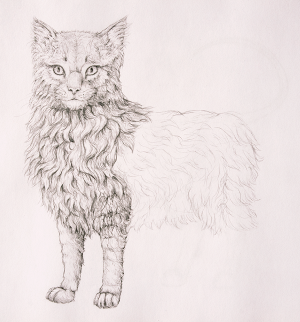 600x644 How To Draw Animals Quickly Render Fur - Fluffy Dog Drawing