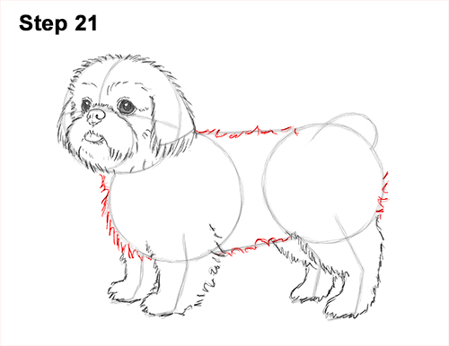 500x386 How To Draw A Dog - Fluffy Dog Drawing