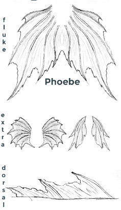 237x409 fluke and fin guide syren studios - Fluke Drawing