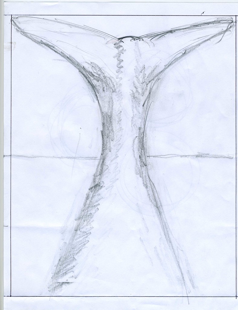 788x1024 Mrwaterslide's Whale Fluke, Drawing - Fluke Drawing