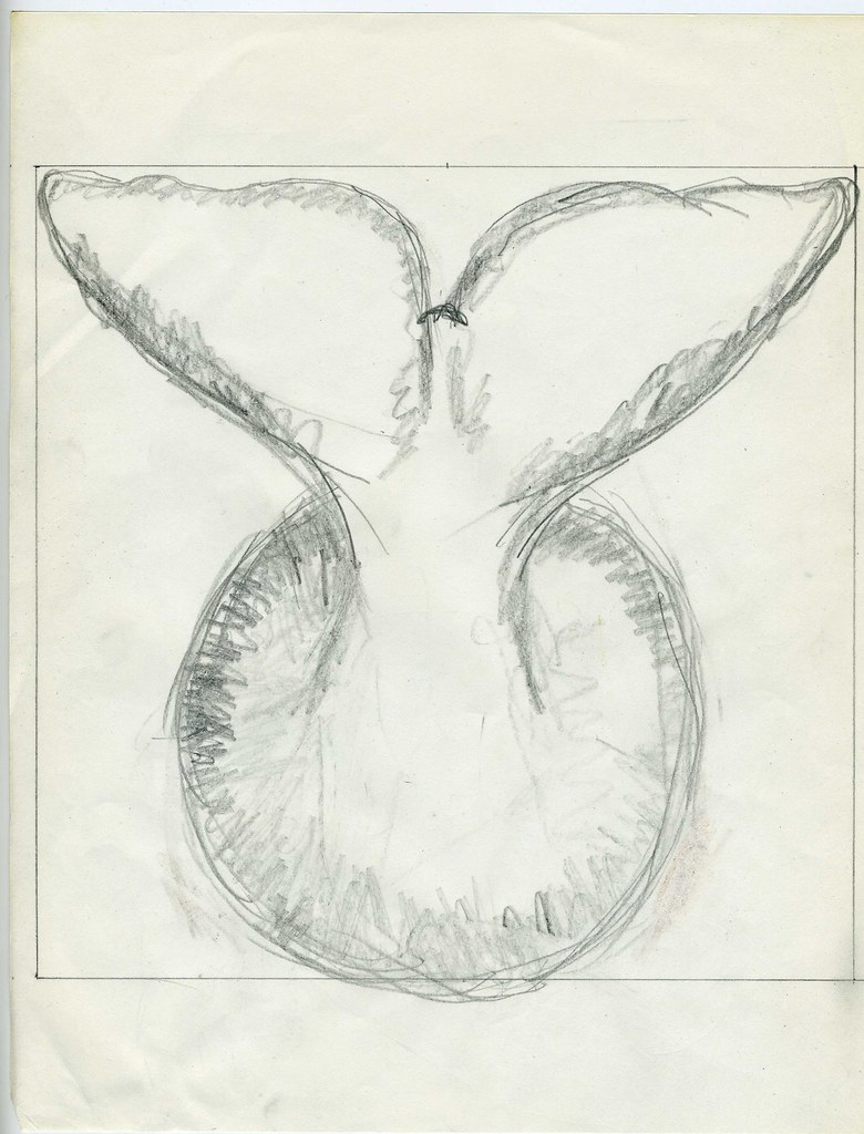 780x1024 Mrwaterslide's Whale Fluke Drawing - Fluke Drawing