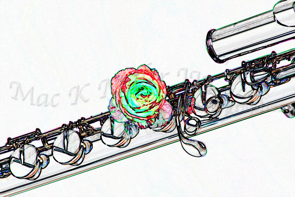 1000x667 base flute red rose wall art drawing - Flute Drawing