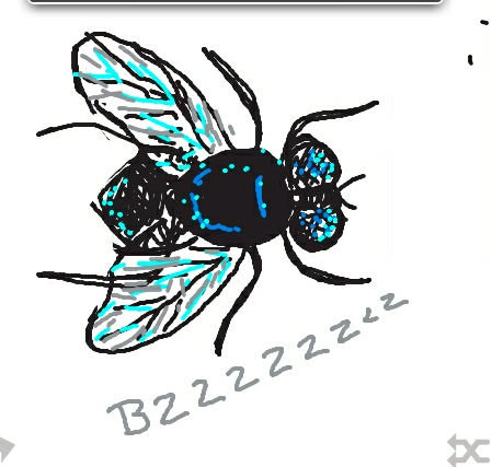 449x427 fly drawings - Fly Drawing