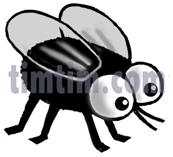 570x517 free drawing of a fly bw from the category birds insects - Fly Drawing