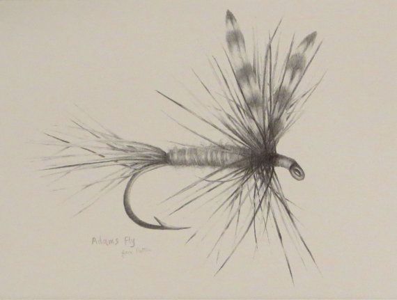 570x431 fly fishing drawing - Fly Fisherman Drawing
