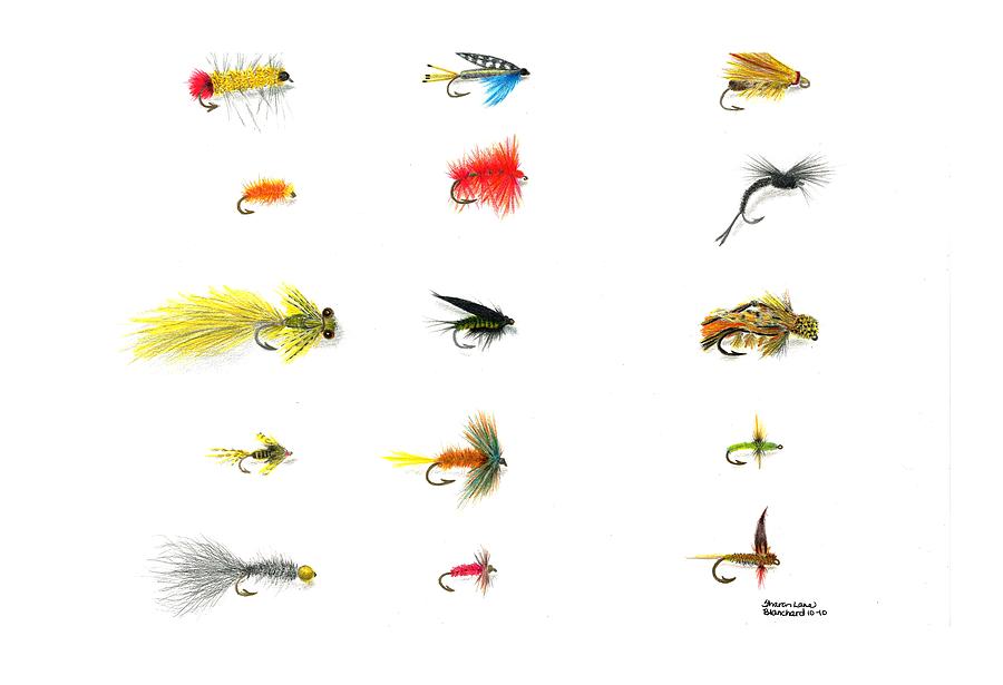 900x615 fly fishing nymphs wet and dry flies drawing - Fly Fisherman Drawing