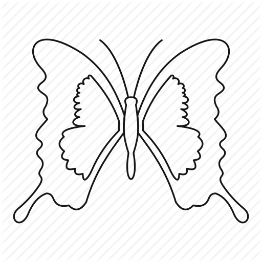 512x512 Bug, Fly, Line, Mahaon, Outline, Spring, Tattoo Icon - Fly Line Drawing