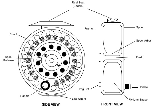 578x377 first cast fly fishing fly fishing reels before you buy - Fly Line Drawing