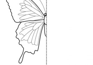 300x210 Animals Rhcom Vector Tsetse Fly Line Stock - Fly Line Drawing