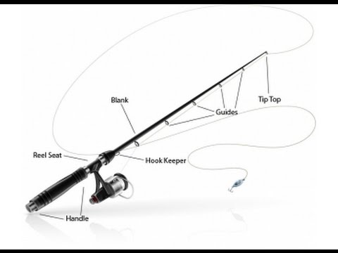 480x360 fishing rod anatomy - Fly Rod Drawing