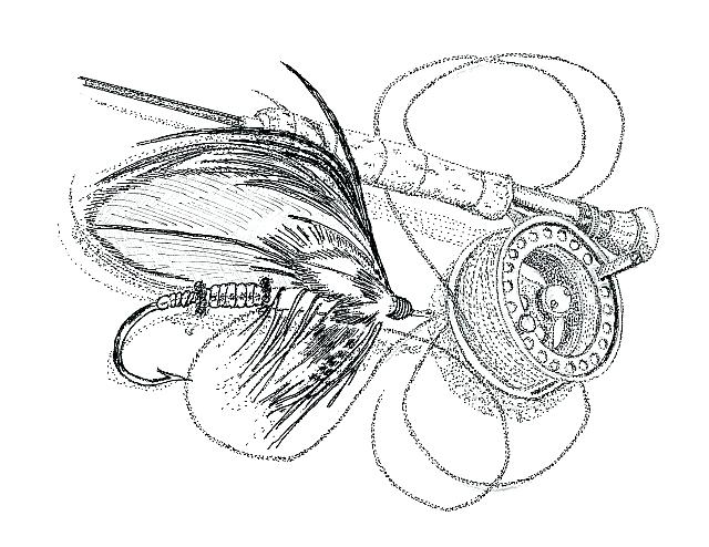 640x494 Fishing Pole Drawing - Fly Rod Drawing