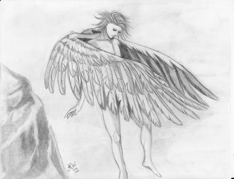 800x613 Flying Angel Drawing Photo Drawing Skill - Flying Angel Drawing