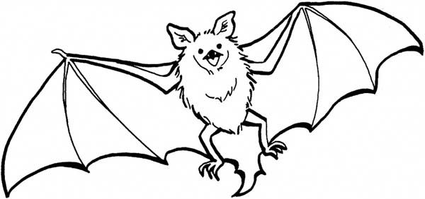 600x282 bats flying coloring - Flying Bat Drawing