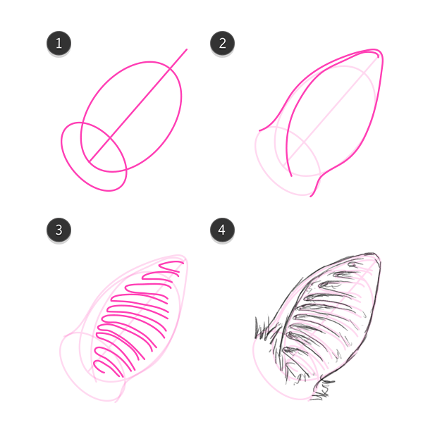 600x606 how to draw animals bats - Flying Bat Drawing