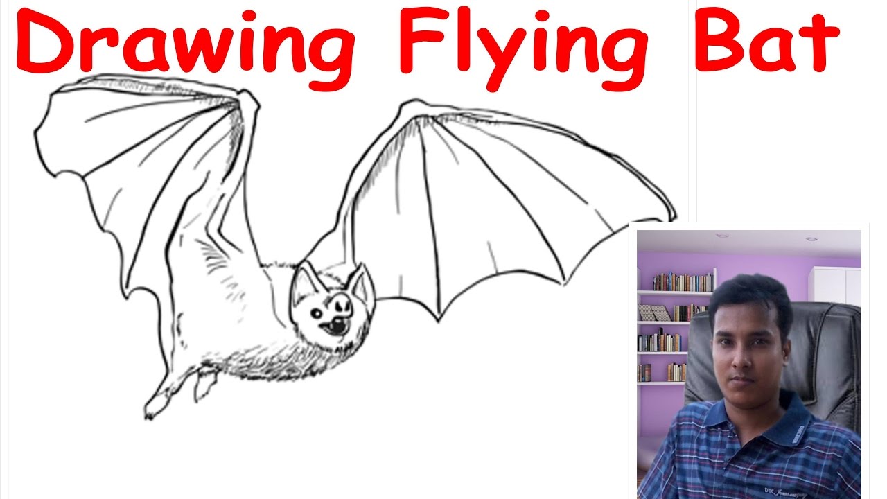 1280x720 How To Draw A Flying Bat - Flying Bat Drawing