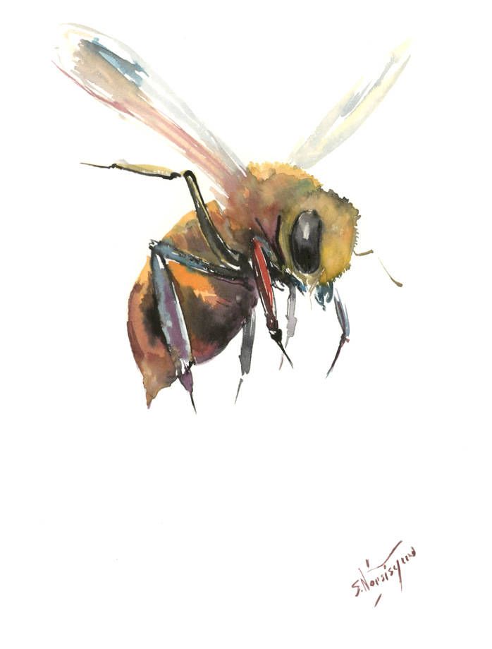 698x920 flying bee, original watercolor painting, x in, flying honey - Flying Bee Drawing