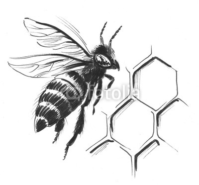 400x372 flying bee buy photos ap images detailview - Flying Bee Drawing