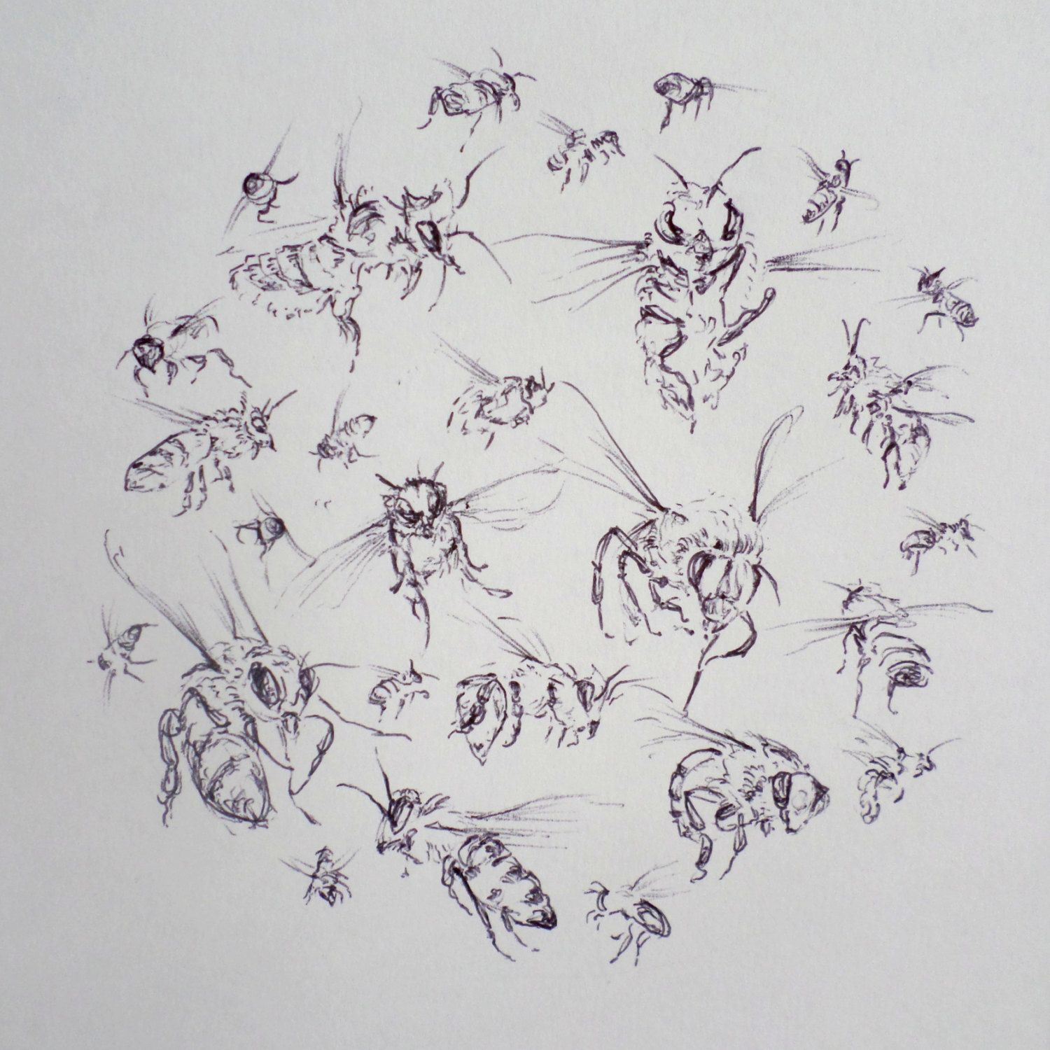 1500x1500 Huge Collection Of 'flying Bee Drawing' Download More Than - Flying Bee Drawing