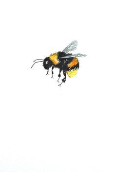 236x352 Flying Bumble Bee Drawing - Flying Bee Drawing