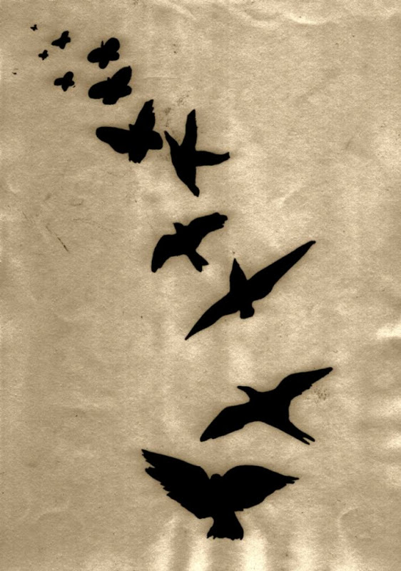 562x800 flying bird drawing tumblr wallpapers home screen - Flying Bird Drawing