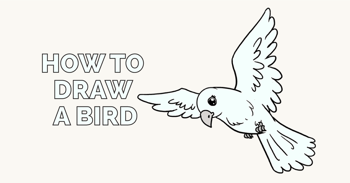 1200x628 How To Draw A Bird Easy Step - Flying Bird Drawing