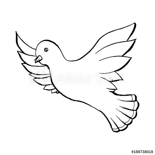 500x500 dove flying bird in sketch style outline or contour drawing hand - Flying Bird Drawing