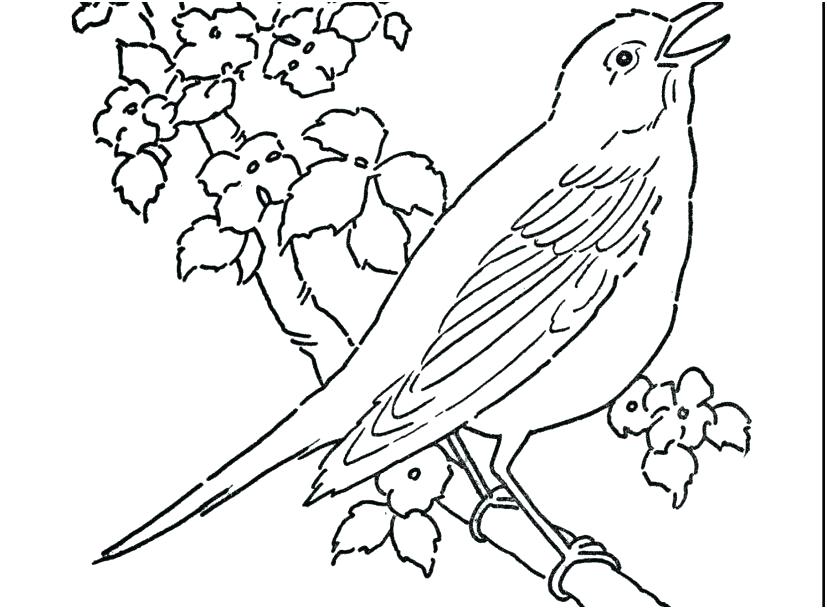 827x609 Coloring Pages Of Birds And Flowers Coloring Pages Of Birds Flying - Flying Bird Line Drawing