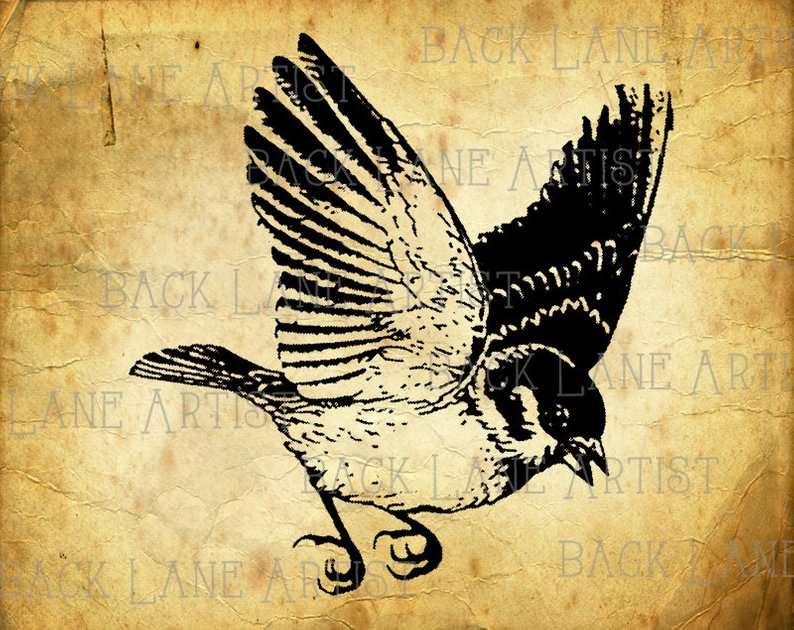 794x630 flying bird clipart illustration instant download png digi etsy - Flying Bird Line Drawing