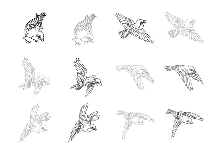 700x490 hand drawn flying bird vector pack - Flying Bird Line Drawing