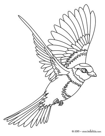 364x470 Bird Coloring Pages Free Birds Coloring Pages Birds - Flying Bird Line Drawing