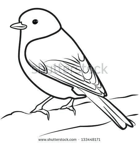 450x464 line drawing of a bird flying bird outline pictures - Flying Bird Line Drawing