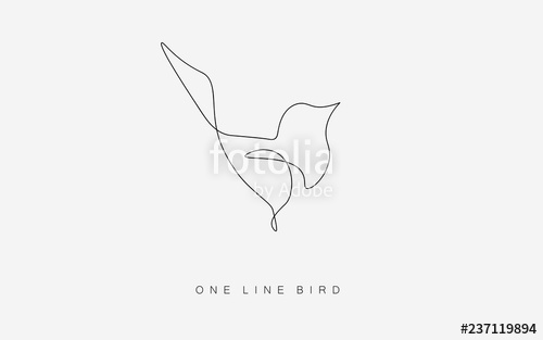 500x313 Birds Flying Vector One Line Drawing Isolated On The White - Flying Bird Line Drawing