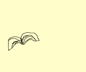 300x250 Flying Books That Look Like The M Birds Drawing - Flying Books Drawing