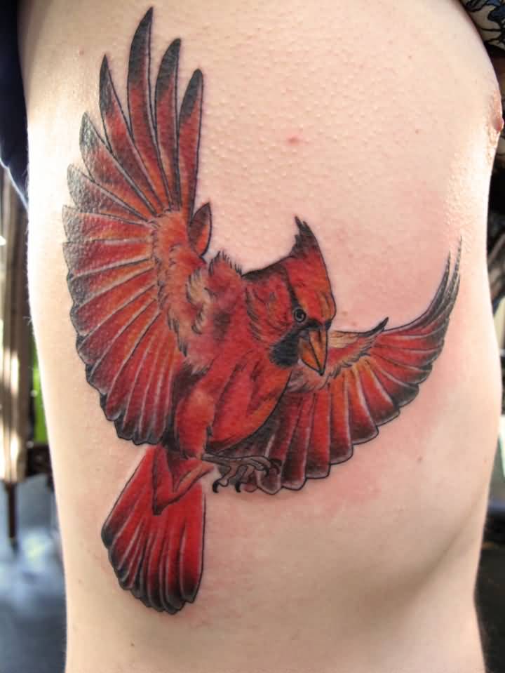 720x959 Wonderful Cardinal Tattoos - Flying Cardinal Drawing