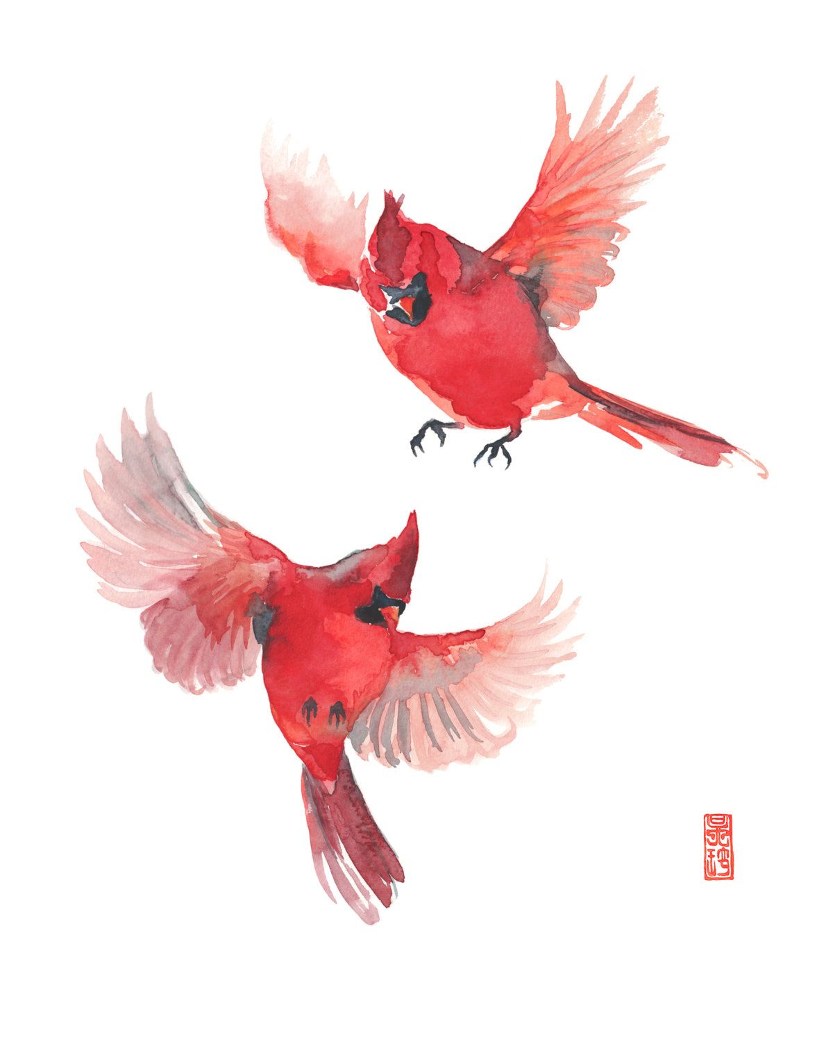 Flying Cardinal Drawing at Explore collection of