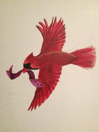 320x427 Flying Cardinal Drawing - Flying Cardinal Drawing