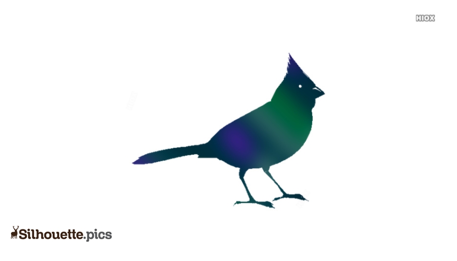 934x534 Flying Cardinal Silhouette Silhouette Pics - Flying Cardinal Drawing