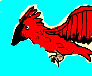 300x250 Flying Cardinal Drawing - Flying Cardinal Drawing