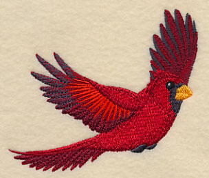 304x258 Machine Embroidery Designs - Flying Cardinal Drawing