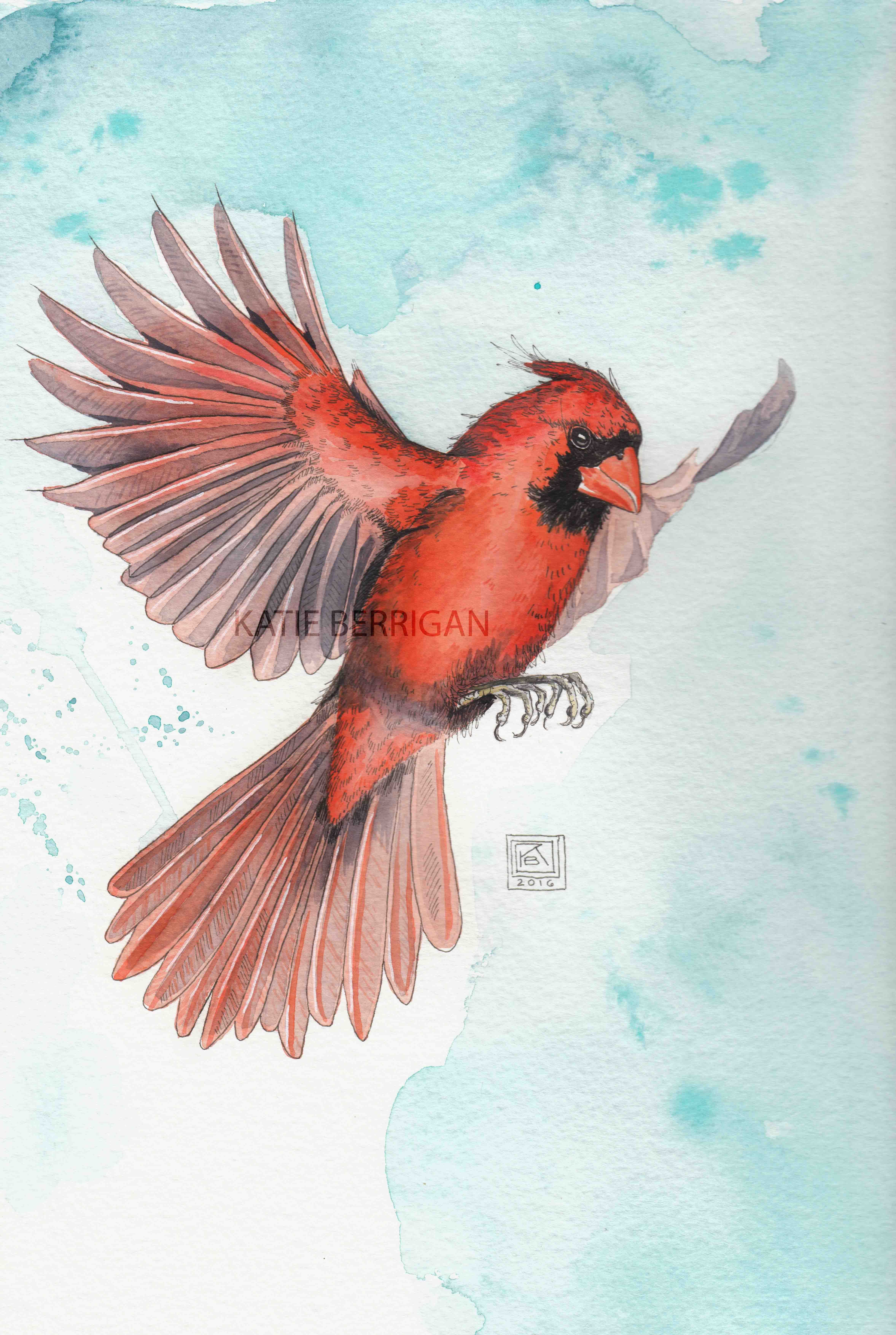 4710x7016 Watercolor Cardinal Painting Etsy Bird In Flight - Flying Cardinal Drawing
