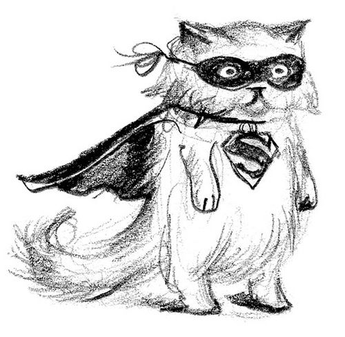 500x488 Maral Sassouni Cat Aholic!!!! Flying Cat, Cats, Art Drawings - Flying Cat Drawing