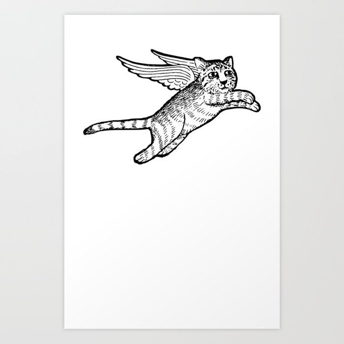 Flying Cat Drawing at Explore collection of Flying