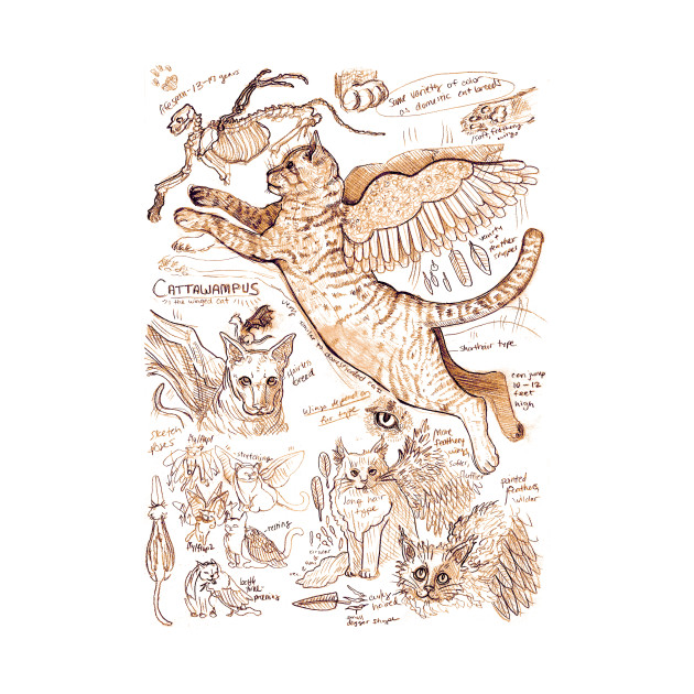 630x630 cattawampi flying felines - Flying Cat Drawing