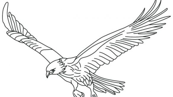 585x329 Flying Crow Coloring - Flying Crow Drawing