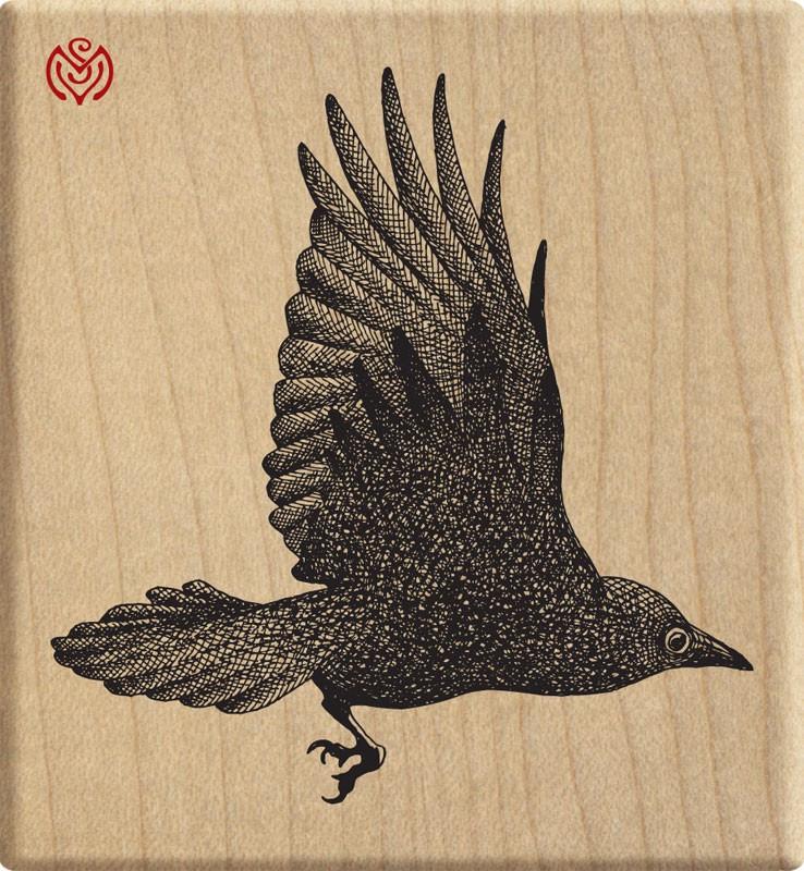 738x800 Flying Crow Meer Image - Flying Crow Drawing