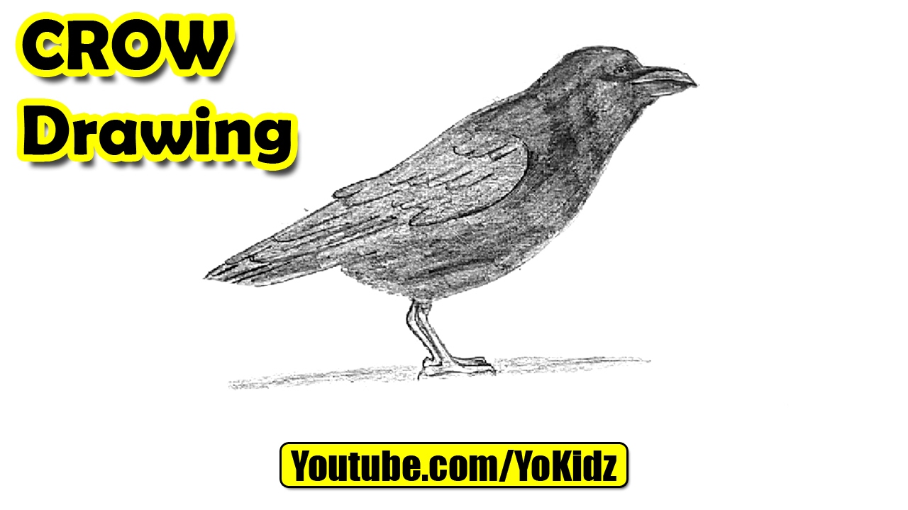 1280x720 How To Draw Crow - Flying Crow Drawing