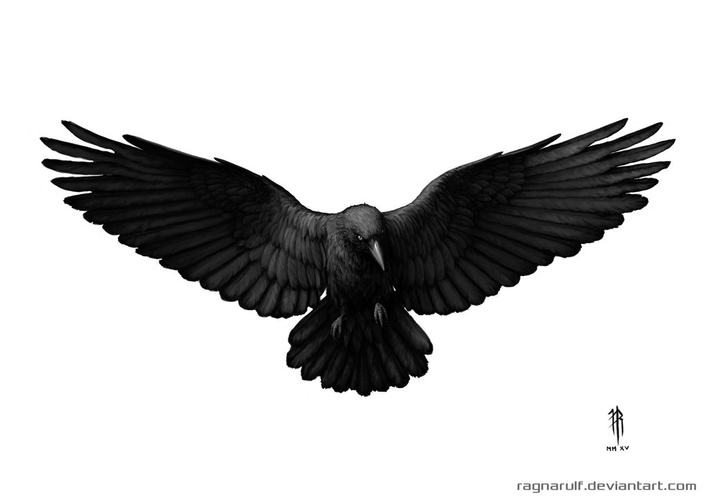 Flying Crow Drawing at PaintingValley.com | Explore collection of