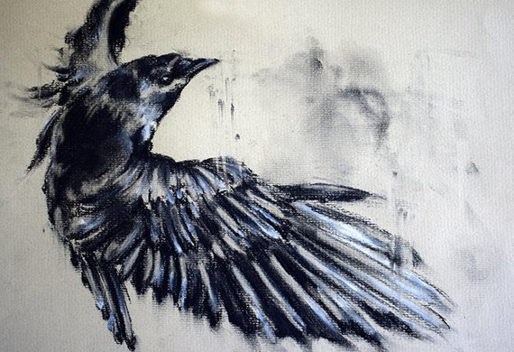 570x390 Original Charcoal Drawing Crow Flying Black And White Wall Art Etsy - Flying Crow Drawing