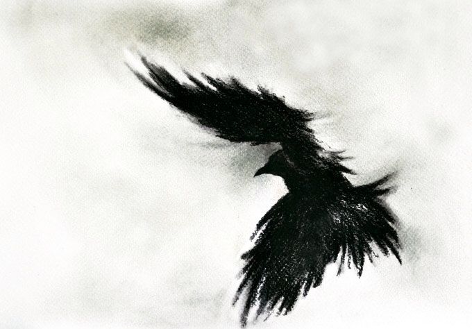680x474 art inspiration crows drawing, gothic - Flying Crow Drawing